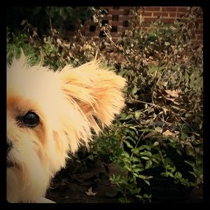 Meet your Posher, Lyn